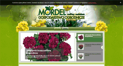 Desktop Screenshot of kwiaty-mordel.pl