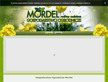 Tablet Screenshot of kwiaty-mordel.pl